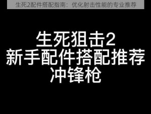 生死2配件搭配指南：优化射击性能的专业推荐