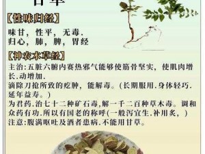 天下甘草之秘：探索甘草技能属性搭配图鉴的奥秘