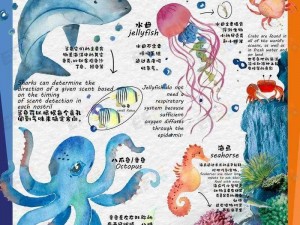 《泰拉瑞亚神秘海洋生物：海豚的多样用途与独特介绍》