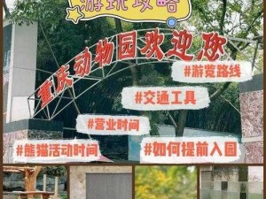 玩疯狂动物园九大秘籍揭秘：入门须知九件事，成为游戏高手指南