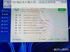 亚洲国产 OV 精品毛片鲁大师——视频压缩神器，一键提升视频质量