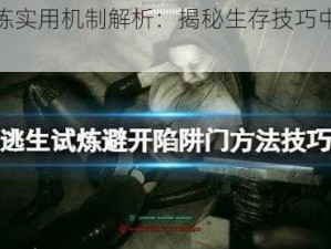 逃生试炼实用机制解析：揭秘生存技巧中的佼佼者