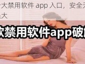 夜里十大禁用软件 app 入口，安全无广告，功能强大