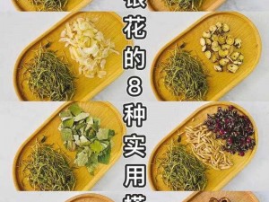 小和尚金银花原文免费，清热降火、润肺止咳，纯草本配方，无副作用