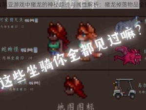 泰拉瑞亚游戏中猪龙的神秘踪迹与属性解析：猪龙掉落物品全揭秘