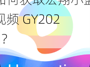 如何获取宏翔小蓝视频 GY2023？