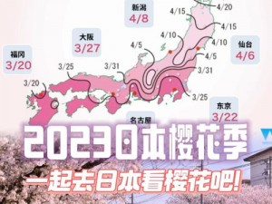 樱花官方正版官网入口 2023，精彩内容抢先看，尽享视觉盛宴