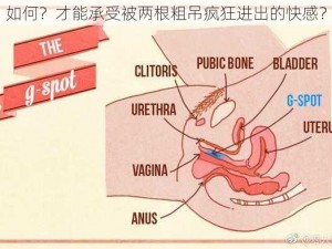 如何？才能承受被两根粗吊疯狂进出的快感？