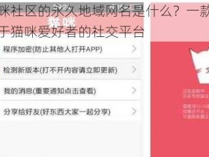 猫咪社区的永久地域网名是什么？一款专注于猫咪爱好者的社交平台