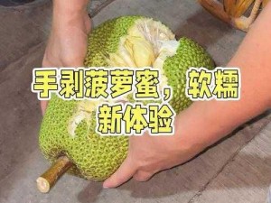 菠萝菠萝蜜视频在线观看大全有哪些途径？