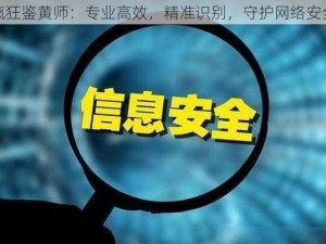 疯狂鉴黄师：专业高效，精准识别，守护网络安全