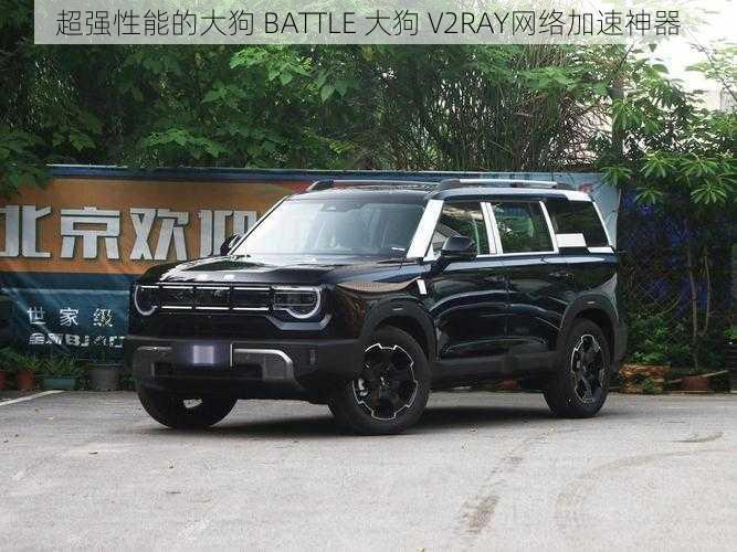 超强性能的大狗 BATTLE 大狗 V2RAY网络加速神器