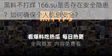 黑料不打烊 166.su是否存在安全隐患？如何确保个人信息安全？