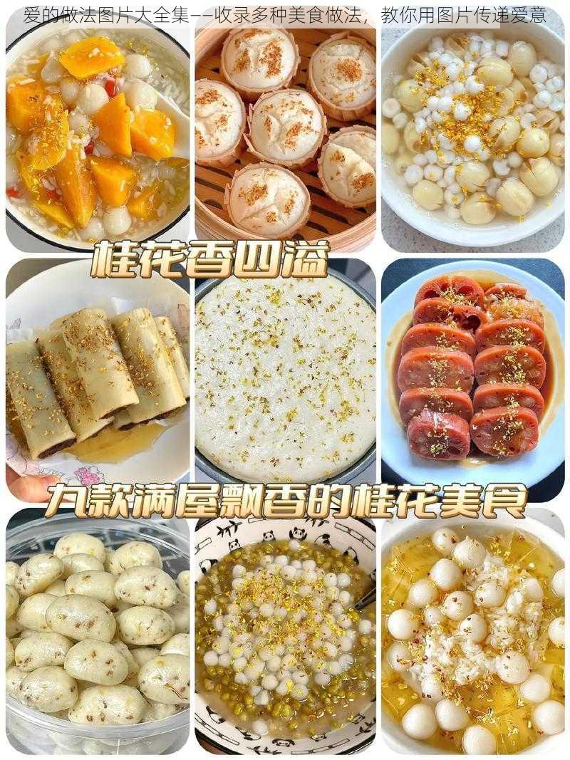 爱的做法图片大全集——收录多种美食做法，教你用图片传递爱意