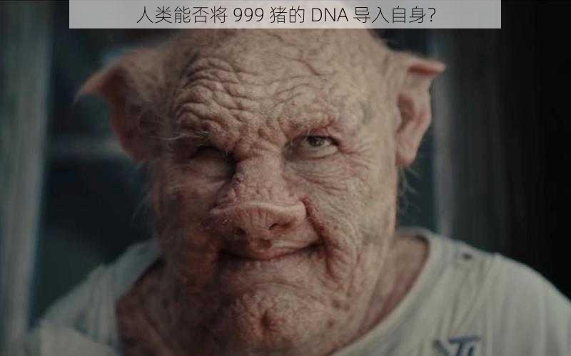 人类能否将 999 猪的 DNA 导入自身？