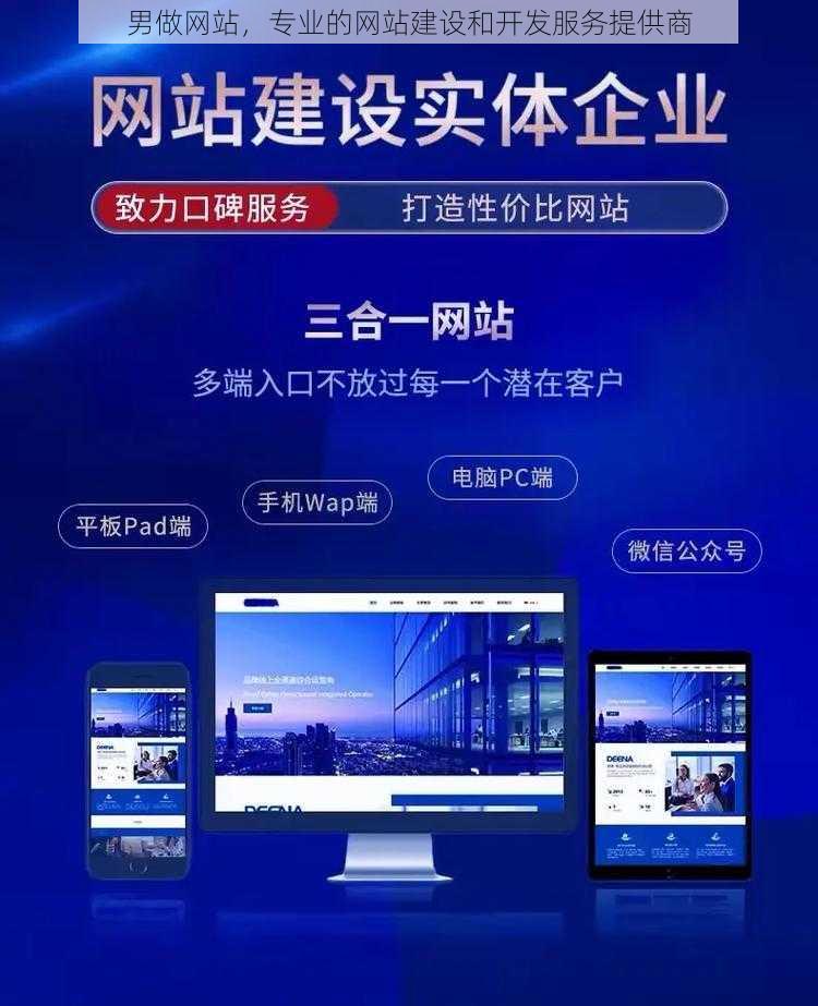 男做网站，专业的网站建设和开发服务提供商