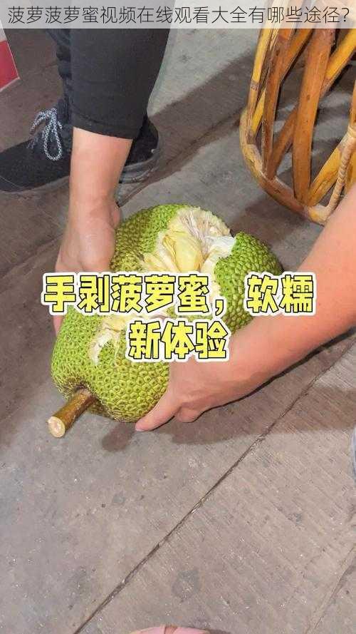 菠萝菠萝蜜视频在线观看大全有哪些途径？