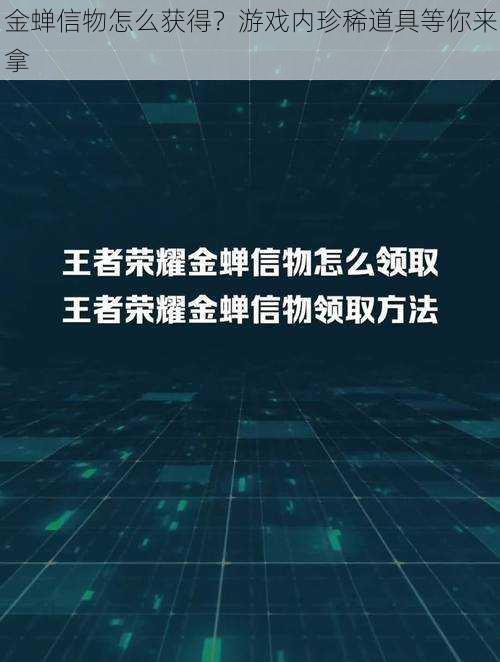 金蝉信物怎么获得？游戏内珍稀道具等你来拿