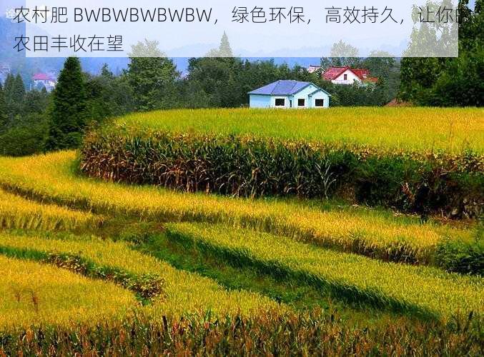 农村肥 BWBWBWBWBW，绿色环保，高效持久，让你的农田丰收在望