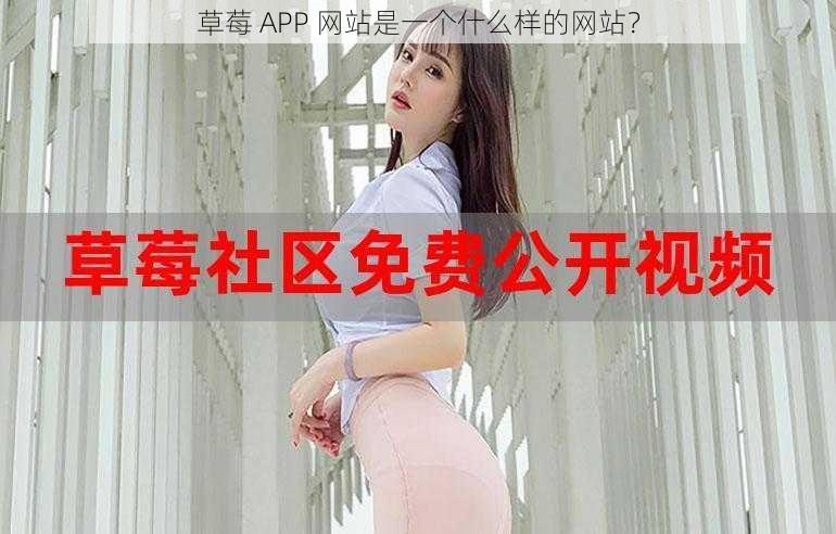 草莓 APP 网站是一个什么样的网站？