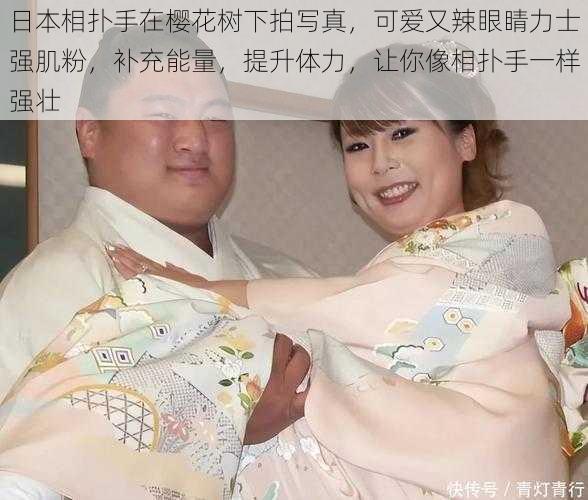 日本相扑手在樱花树下拍写真，可爱又辣眼睛力士强肌粉，补充能量，提升体力，让你像相扑手一样强壮