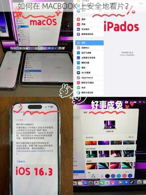 如何在 MACBOOK 上安全地看片？