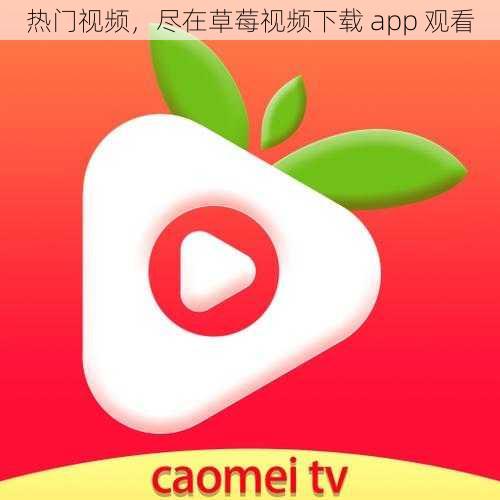 热门视频，尽在草莓视频下载 app 观看