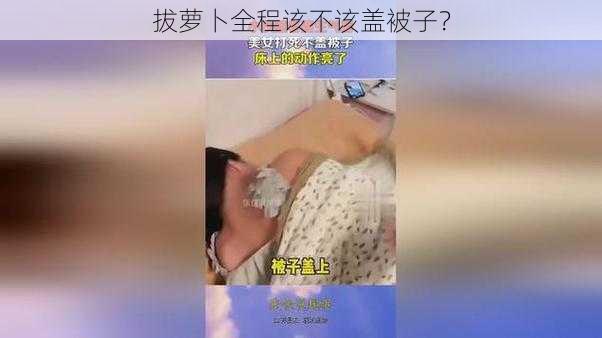 拔萝卜全程该不该盖被子？