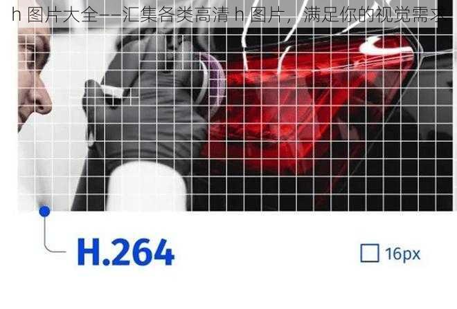 h 图片大全——汇集各类高清 h 图片，满足你的视觉需求