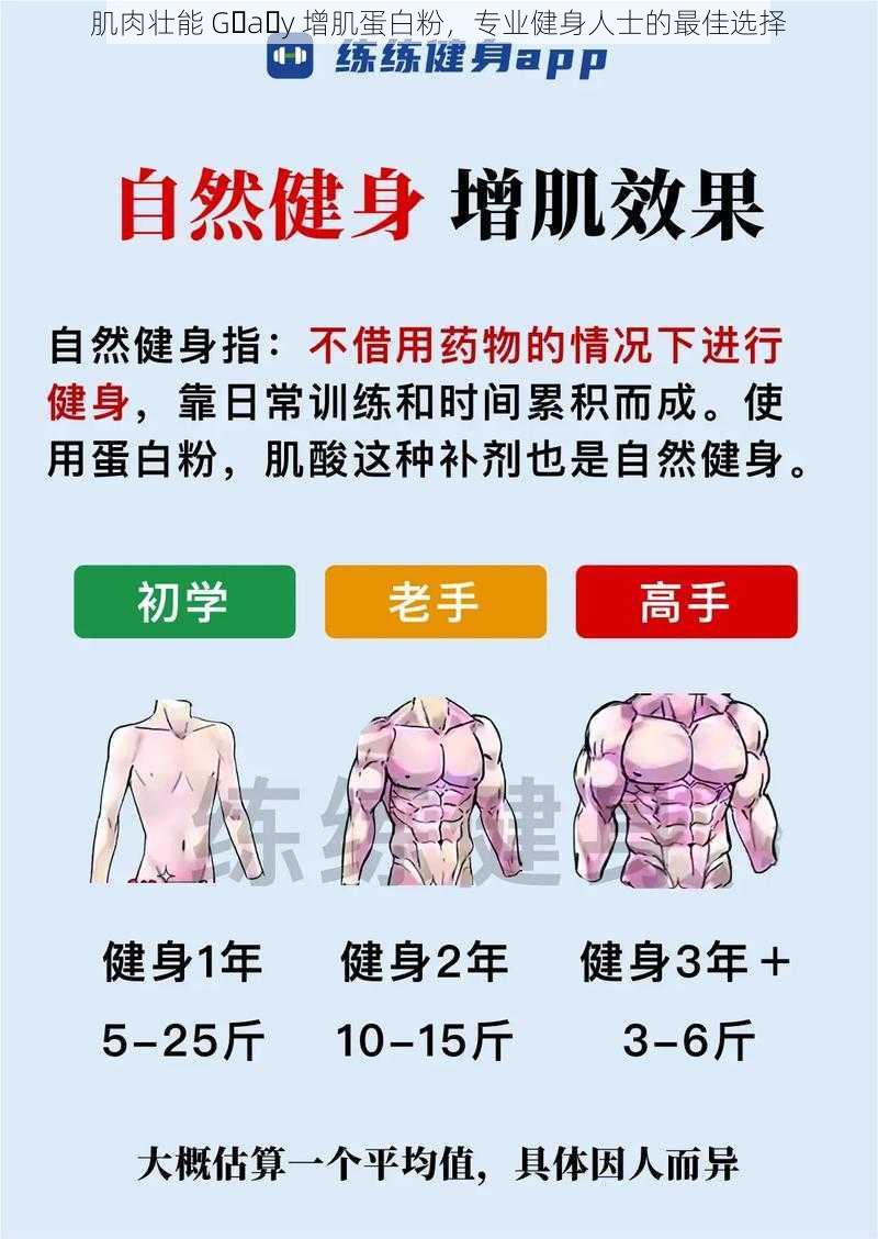 肌肉壮能 G a y 增肌蛋白粉，专业健身人士的最佳选择