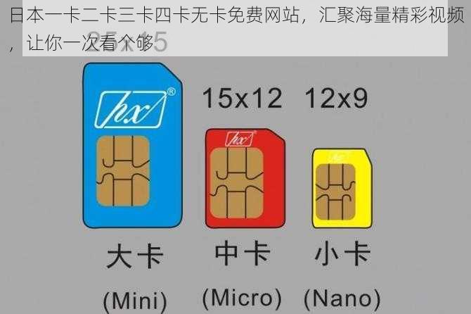 日本一卡二卡三卡四卡无卡免费网站，汇聚海量精彩视频，让你一次看个够