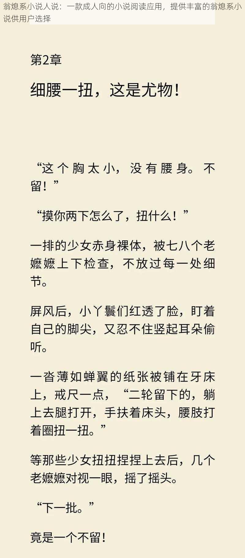 翁熄系小说人说：一款成人向的小说阅读应用，提供丰富的翁熄系小说供用户选择