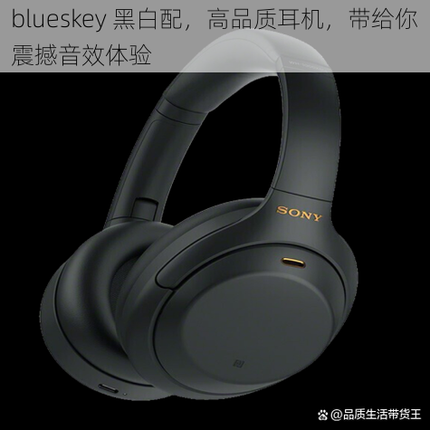 blueskey 黑白配，高品质耳机，带给你震撼音效体验