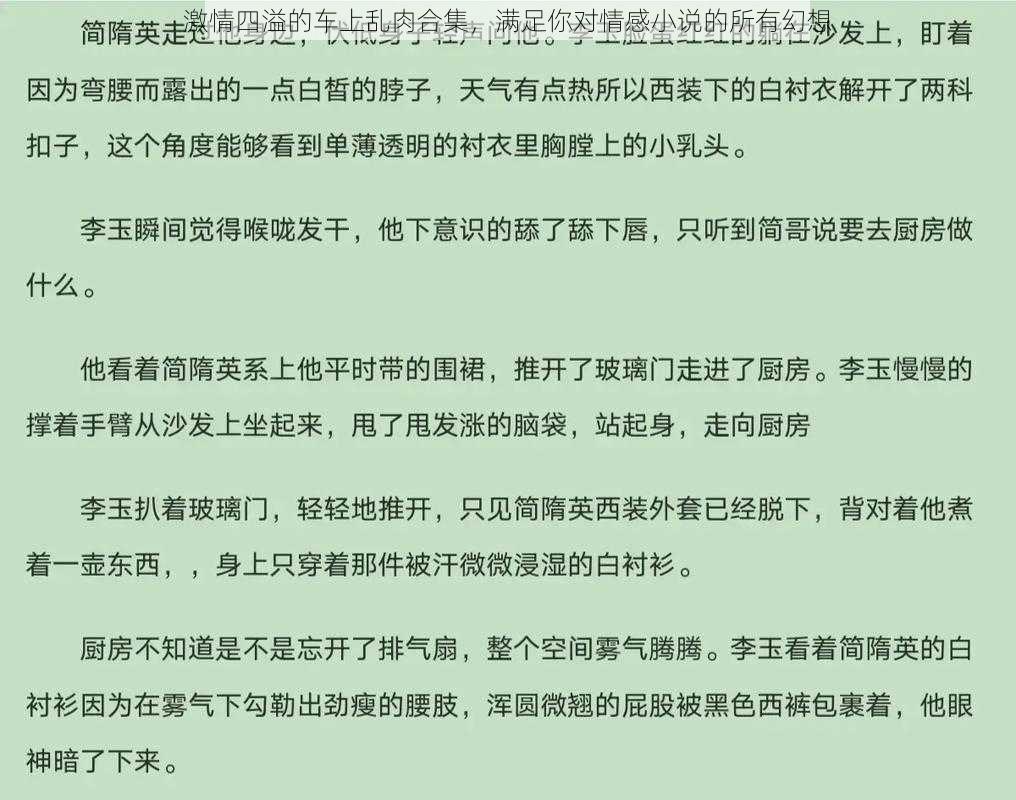 激情四溢的车上乱肉合集，满足你对情感小说的所有幻想