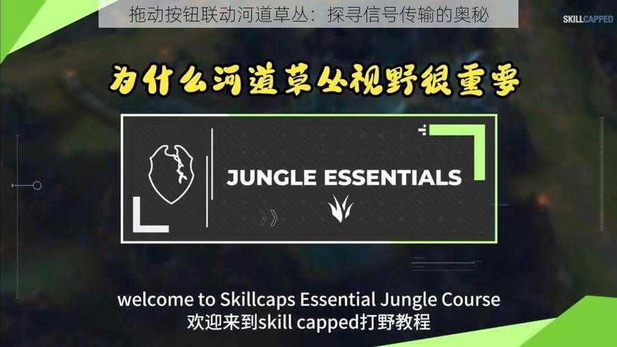 拖动按钮联动河道草丛：探寻信号传输的奥秘