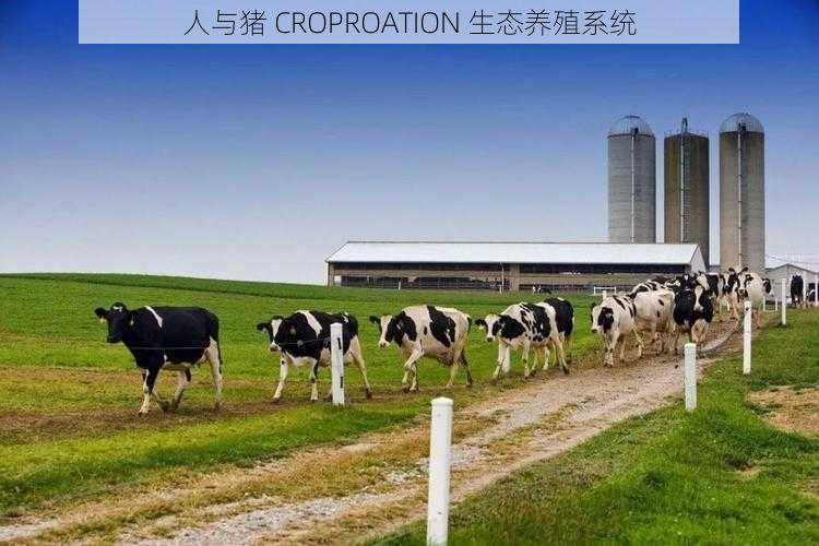 人与猪 CROPROATION 生态养殖系统