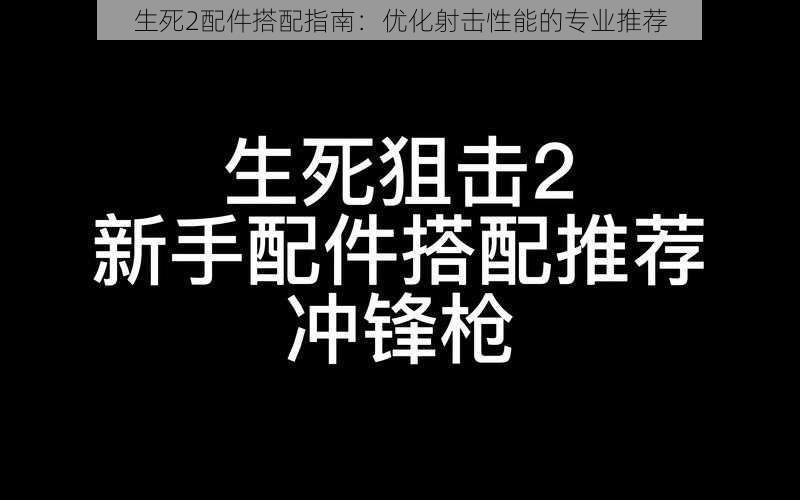 生死2配件搭配指南：优化射击性能的专业推荐