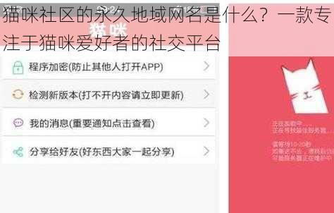 猫咪社区的永久地域网名是什么？一款专注于猫咪爱好者的社交平台