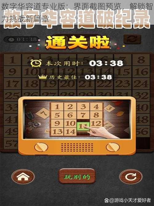 数字华容道专业版：界面截图预览，解锁智力挑战新篇章