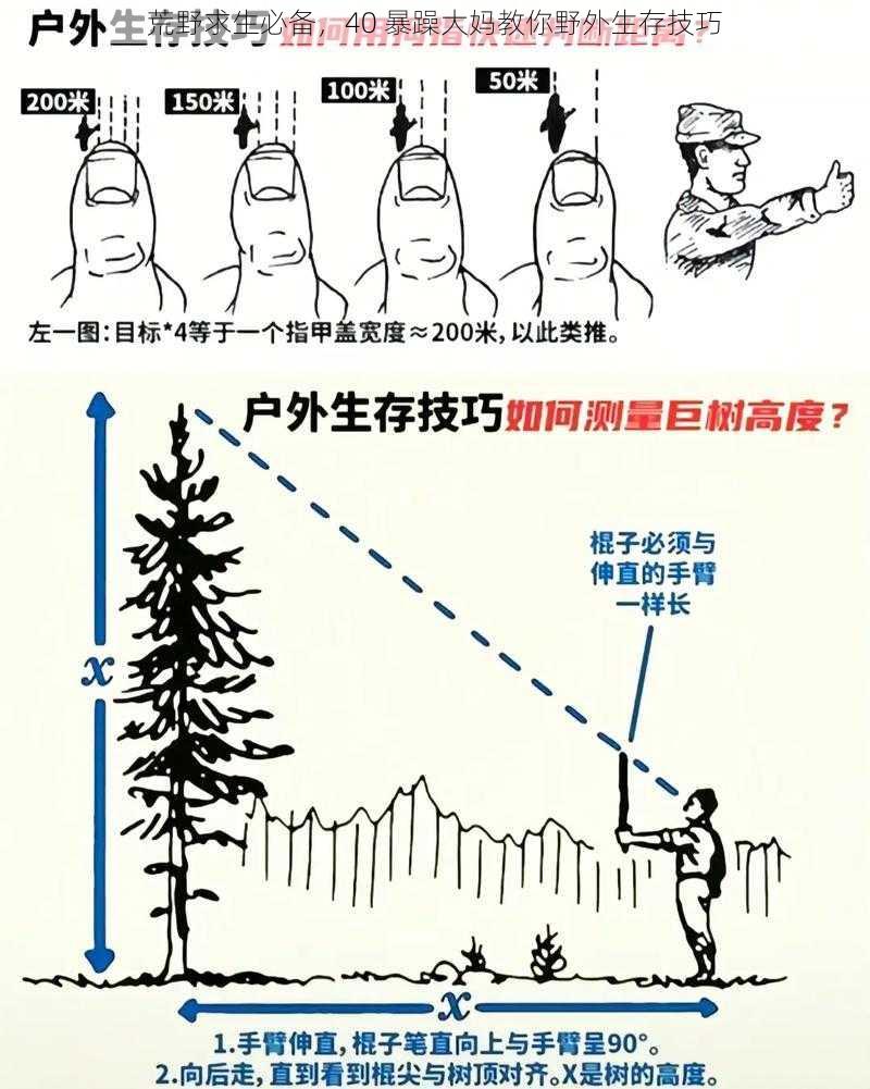 荒野求生必备，40 暴躁大妈教你野外生存技巧