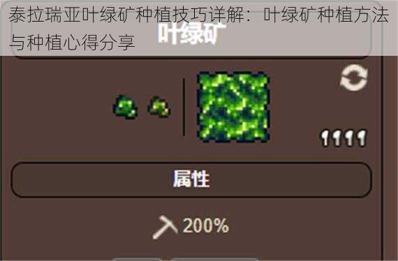 泰拉瑞亚叶绿矿种植技巧详解：叶绿矿种植方法与种植心得分享