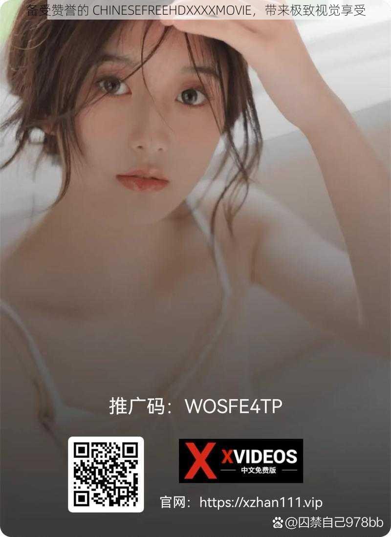 备受赞誉的 CHINESEFREEHDXXXXMOVIE，带来极致视觉享受