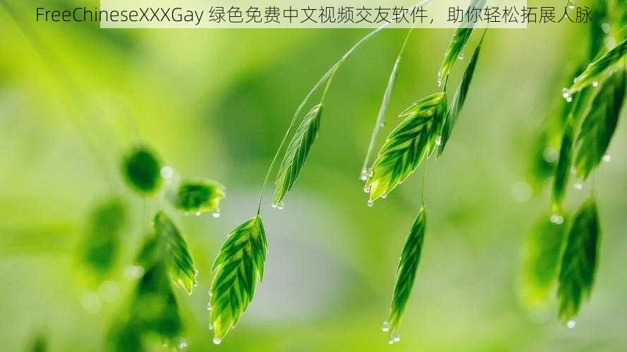 FreeChineseXXXGay 绿色免费中文视频交友软件，助你轻松拓展人脉