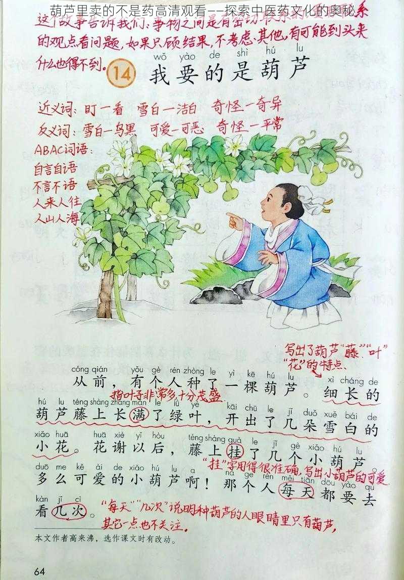 葫芦里卖的不是药高清观看——探索中医药文化的奥秘