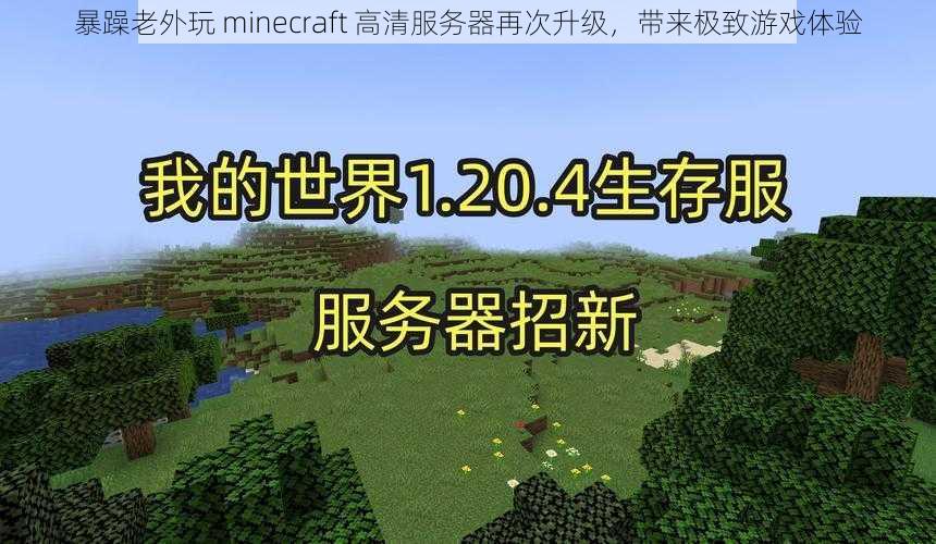 暴躁老外玩 minecraft 高清服务器再次升级，带来极致游戏体验