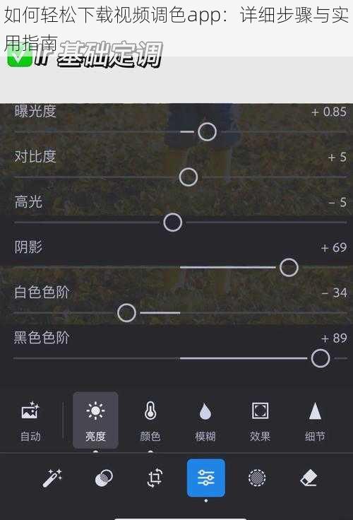 如何轻松下载视频调色app：详细步骤与实用指南