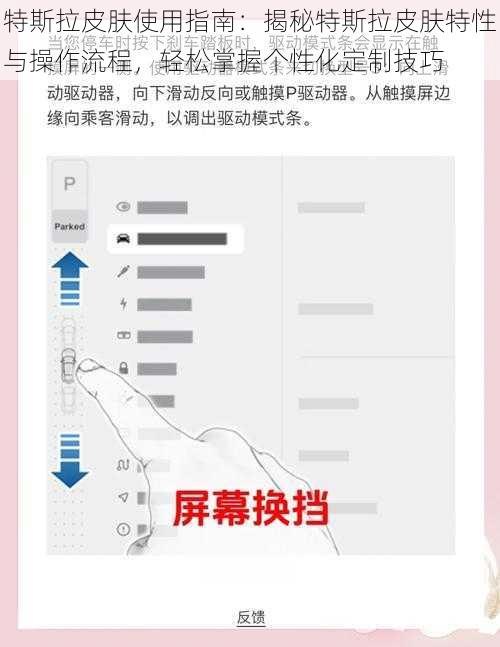 特斯拉皮肤使用指南：揭秘特斯拉皮肤特性与操作流程，轻松掌握个性化定制技巧
