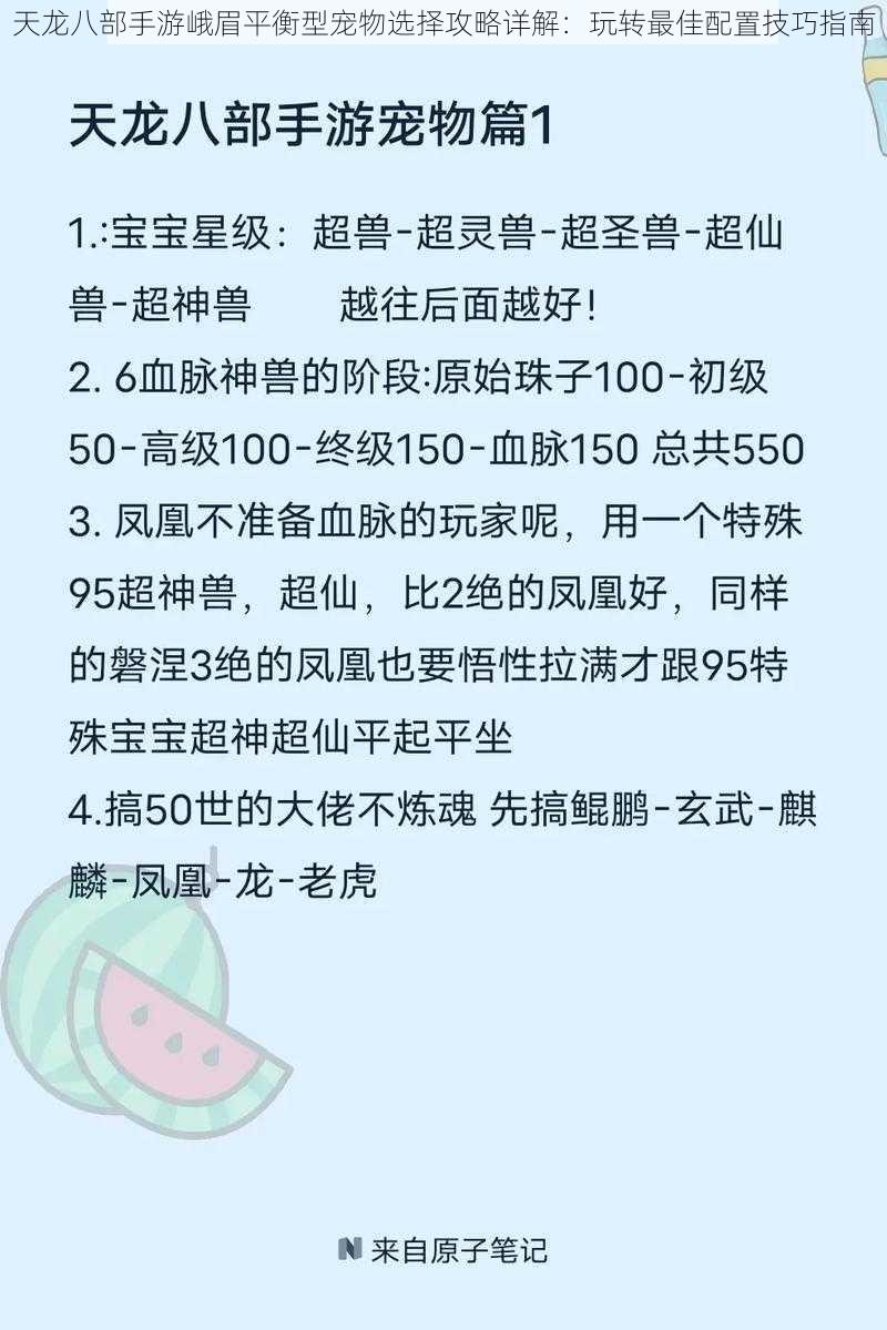 天龙八部手游峨眉平衡型宠物选择攻略详解：玩转最佳配置技巧指南