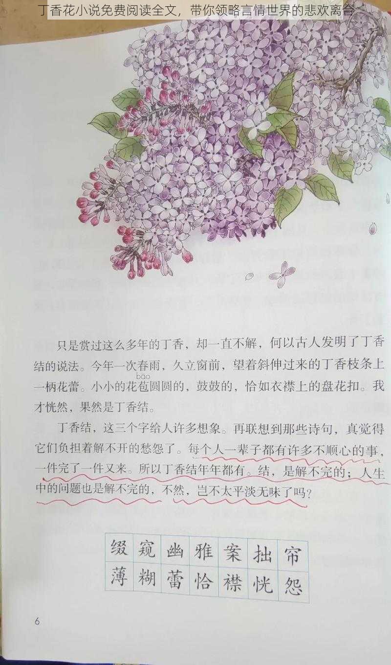 丁香花小说免费阅读全文，带你领略言情世界的悲欢离合