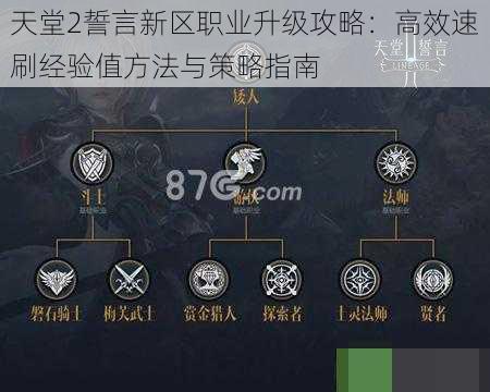 天堂2誓言新区职业升级攻略：高效速刷经验值方法与策略指南